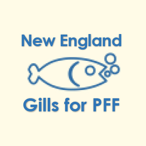 New England Gills for PFF